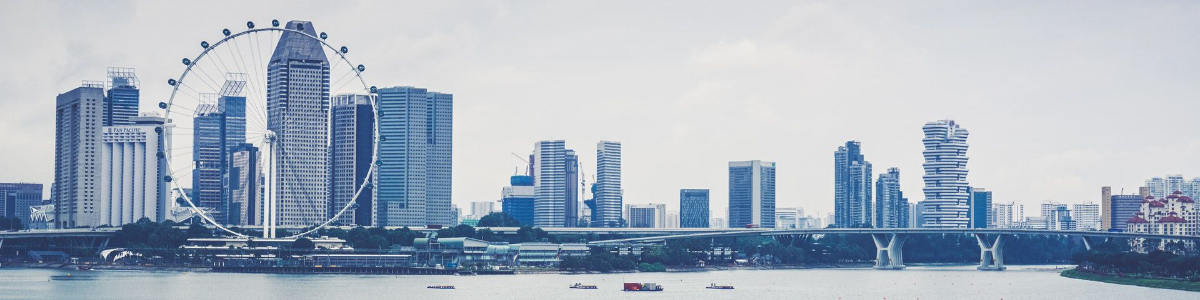 香港企業(yè)營業(yè)執(zhí)照注冊(cè)號(hào)的深度解析與實(shí)用指南