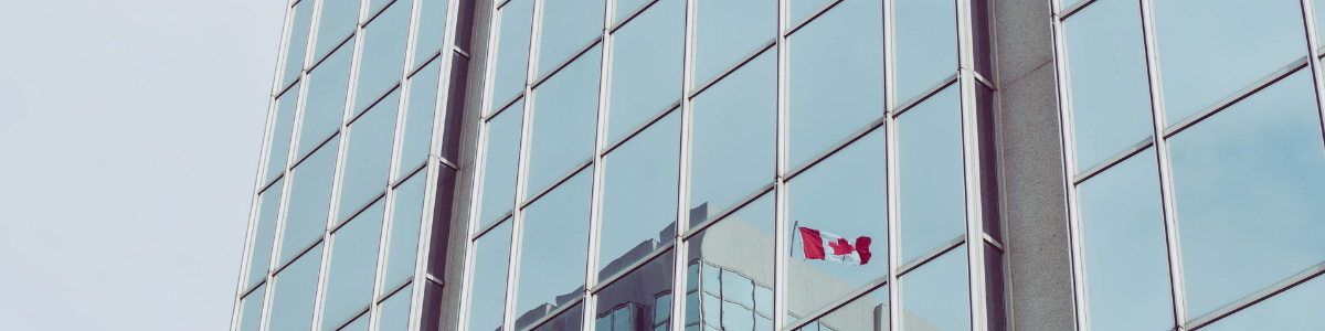 深入探討美國(guó)董事和董事會(huì)成員的角色與責(zé)任